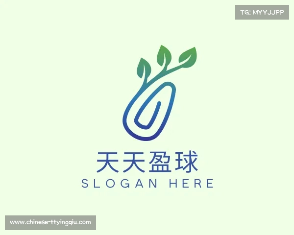 解读天天盈球